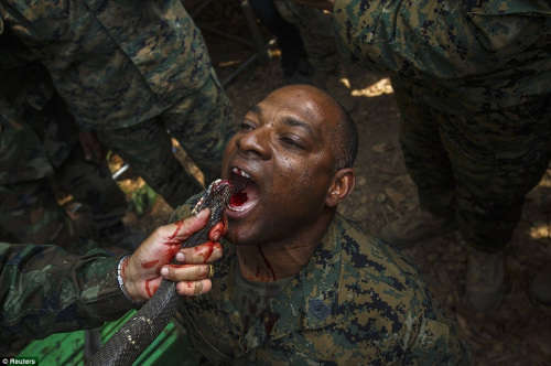 揭秘美海军陆战队生存训练：生喝蛇血吃蝎子（图）