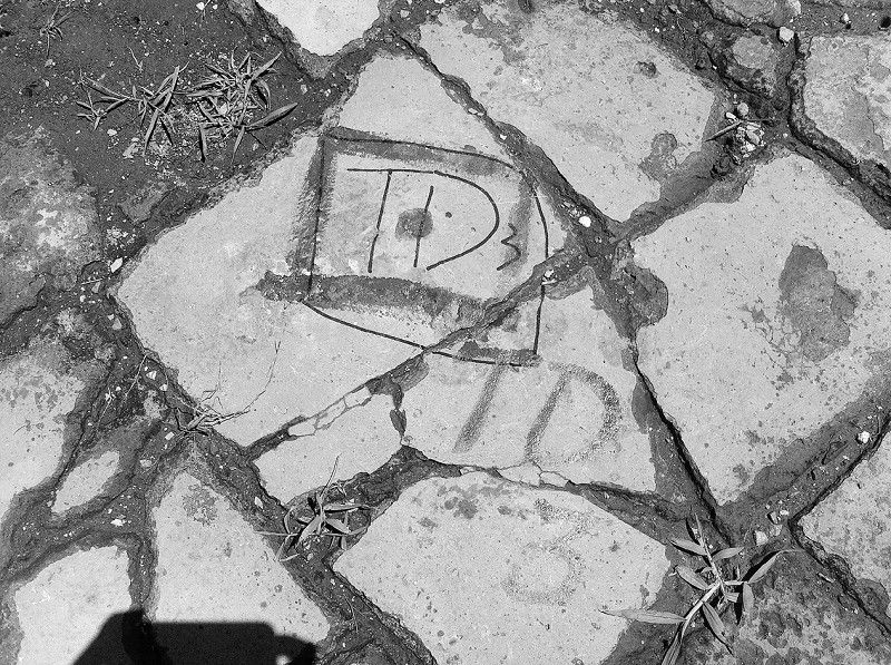 大学生赴清西陵测绘:在砖墁地上钉钉子 用油漆