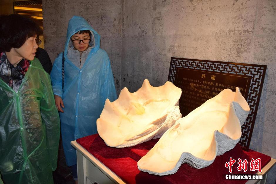 图片版权归原作者所有