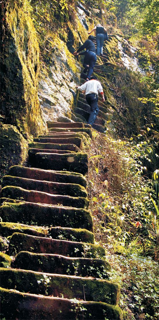 重庆四面山见证悬崖峭壁上6000多级爱情天梯