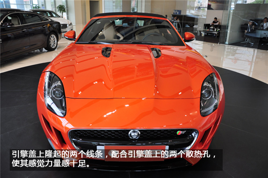 优雅中渗透着激情 实拍捷豹f type 高清图片