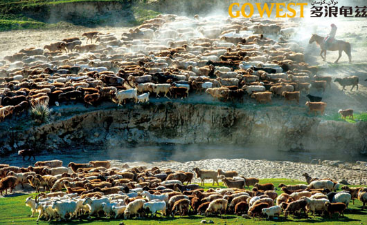 牧民的精神图腾