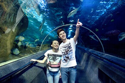 全民海洋季,夏日里不容错过的大连圣亚海洋世界_江苏频道_凤凰网