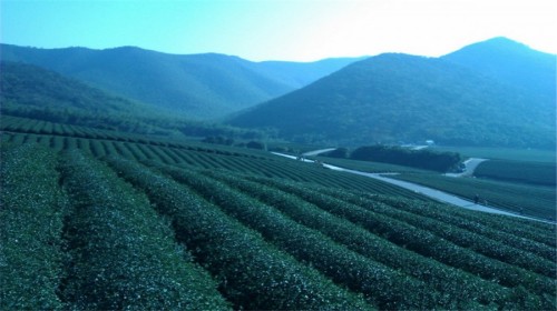 【古景宝地】宜兴龙池山 步步皆景