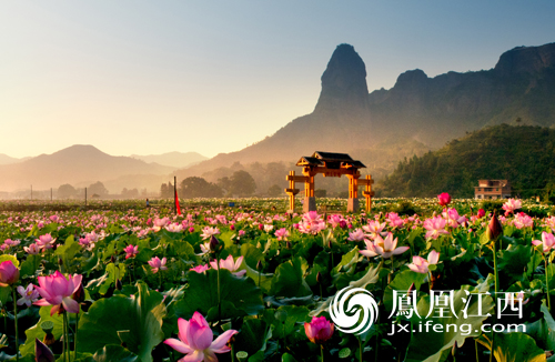 石城:赣江源头春潮涌 绿色崛起开新篇