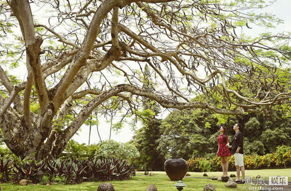 陆川与胡蝶夏威夷完婚 传统婚礼低调私密[大图