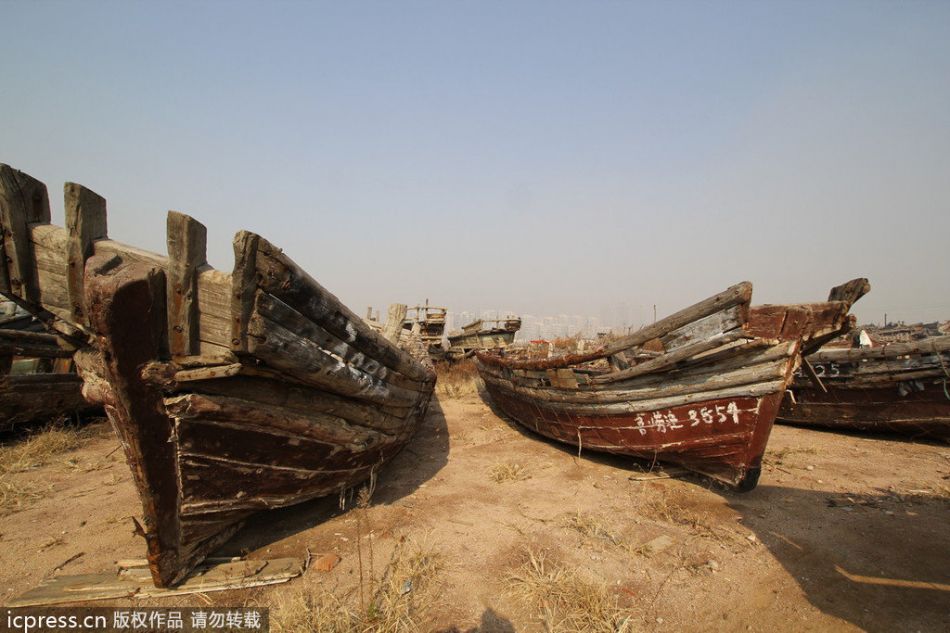 青岛小麦岛遭迪拜撤资 闲置多年成“渔船墓场”_频道_凤凰网