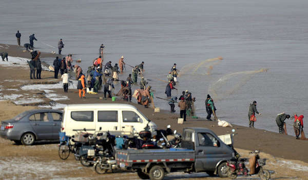济南：市民放生2000斤鲤鱼数十人撒网捕捞