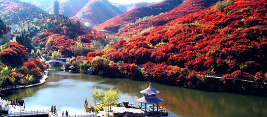 济南红叶谷红叶节时间延长 红叶观赏渐成秋季旅游亮点