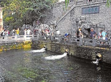 济南黑虎泉一虎头出水口堵塞景区：正商讨解决办法