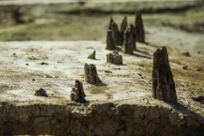 南京现3000平方米唐代遗址 或为李白诗中"凤凰台"