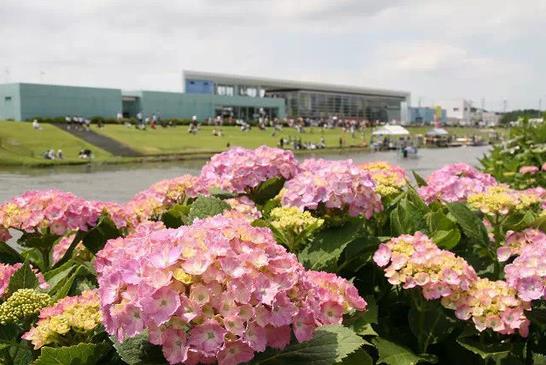 日本乡村田野之旅