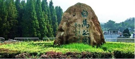 端午节在南京还能这么玩_江苏频道_凤凰网