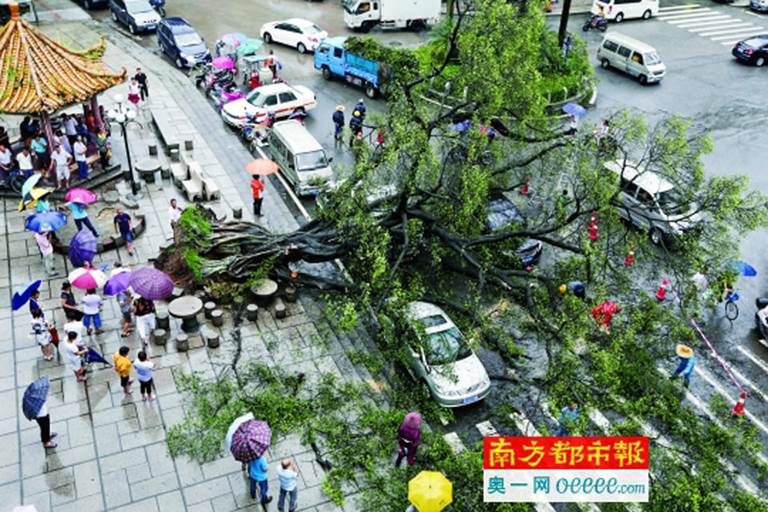 番禺大石人口_广州番禺大石植村