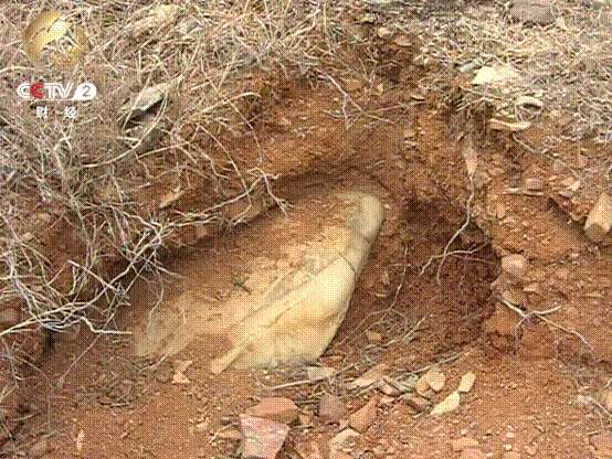 安徽淮南紫金石盗采严重 一块石头换一套房_安徽频道_凤凰网