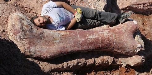 阿根廷日前出土了迄今为止世界最大的恐龙骨骼化石。（韩国网络图片）