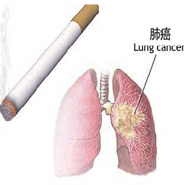 禁止和控制吸烟
