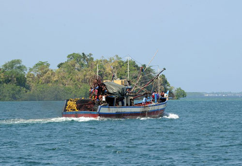越南渔船现黄岩岛新消息评论