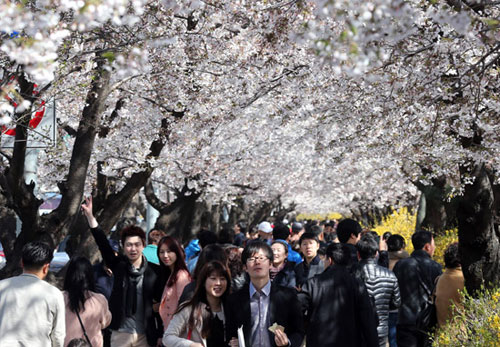 韩国百姓照常购物赏花 朝鲜对这种淡定表示不满