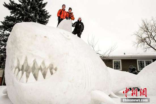 三兄弟和雪鲨合影 当地时间2014年1月5日,美国New Brighton,Connor、Trevor 和Austin Bartz三兄弟花费95小时堆了一条16英尺高的雪鲨,牙齿锋利,栩栩如生。美国,强风、大雪、低温横扫全美22个州,1亿人受影响,占全美三分之一的人口。至少16人死亡,有地区气温低到-38,6000多个航班受阻,联合国总部、联邦法院和一些州政府暂停办公,纽约政府进入紧急状态。