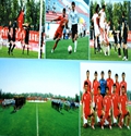 2007鲁能潍坊杯