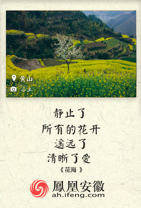 rdn_55af380284e9b.jpg