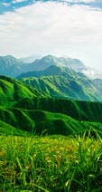 奇峰金顶