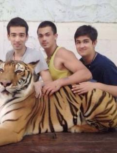 韦唯携三儿子逛动物园与老虎合影(图)