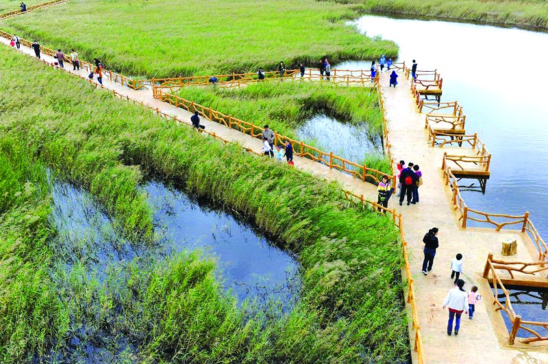 黄河口湿地生态旅游区位于黄河入海口处
