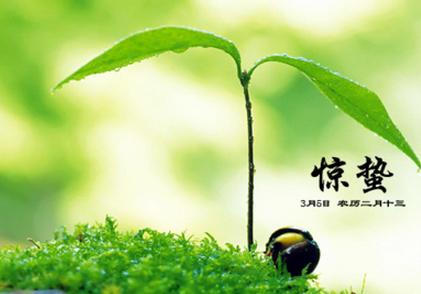 2015年惊蛰是什么时候? 惊蛰养生保健各地传