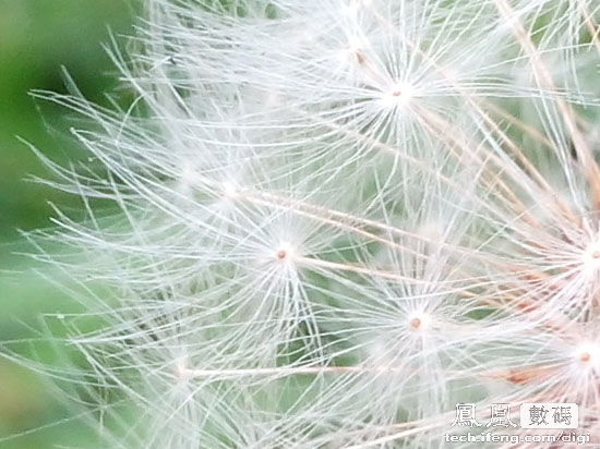 高性价比 四核TCL idol X S950酷爽体验 IT.com