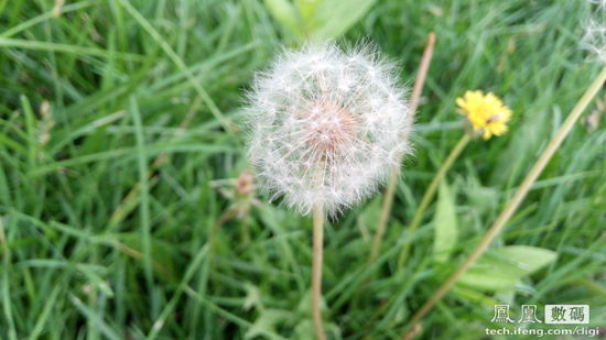 高性价比 四核TCL idol X S950酷爽体验 IT.com