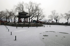 北京迎2015年首场降雪