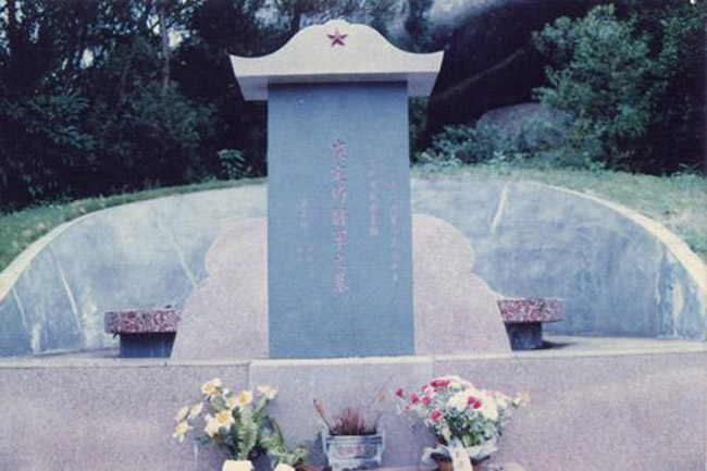 老部下大雨中在开国中将<em>皮定均</em>墓前下跪-金寨