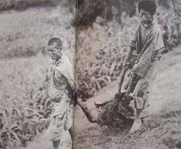 1936年四川饥荒:死尸肉卖500文 活人肉1000文