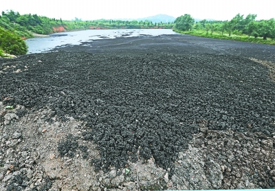 复洁科技：国泰海通证券投资者于1月19日调研我司