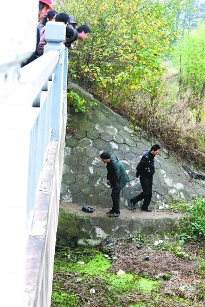 民警正在勘查现场。记者杨涛摄。