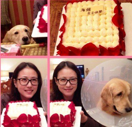 周海媚素颜庆47岁生日网友调侃最开心的是狗狗