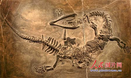 ori_50265a8020783.png