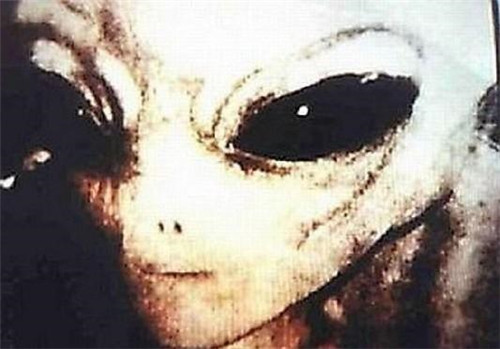 2023世界各地将被外星人接管,2023世界各地将被外星人接管了吗