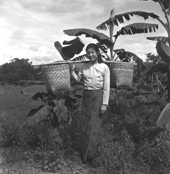 亲历者忆下乡:睡觉能看星星 不会吃菠萝受伤|上