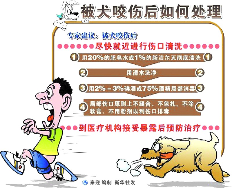 狂犬病人口水会传染吗_科普︱狂犬病的危险被夸大了吗(2)