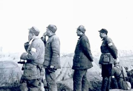 习仲勋的另一面:率游击队配合野战军灭胡宗南|习仲勋野战军|胡宗南_凤凰历史