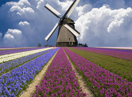 12星座2015年01月运势|运势|2015_凤凰星座