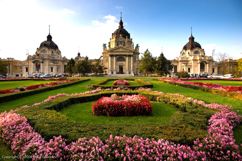 我国gdp增长图_2018我国gdp占世界(2)