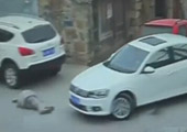 浙江老人路口摔倒23人经过不管 致其遭碾压拖行