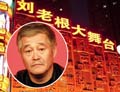 沈阳刘老根舞台被拆