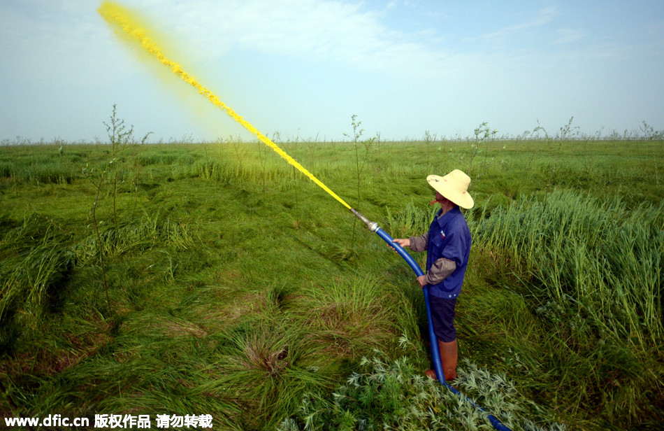 人口将越来越少的大洲_人口普查