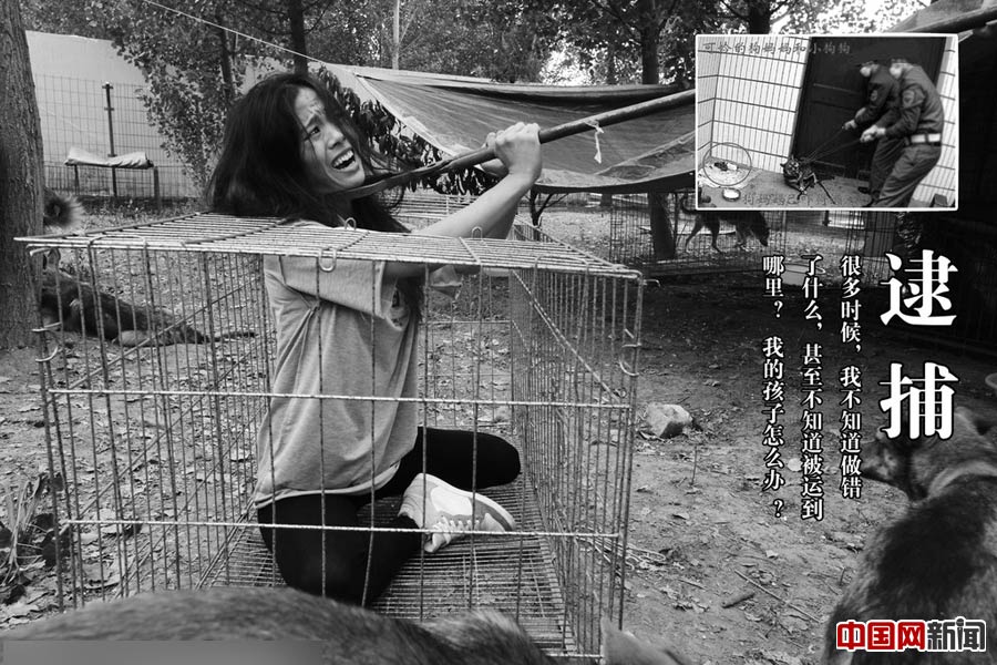 钢管舞<em>美女</em>扮<em>流浪狗</em> 呼吁拒绝伤害_佛教频道_