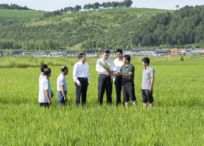 习近平考察吉林延边照片